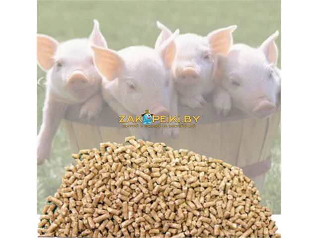 Комбикорм для свиней, купить в Минске с Доставкой - 1