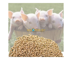 Комбикорм для свиней, купить в Минске с Доставкой