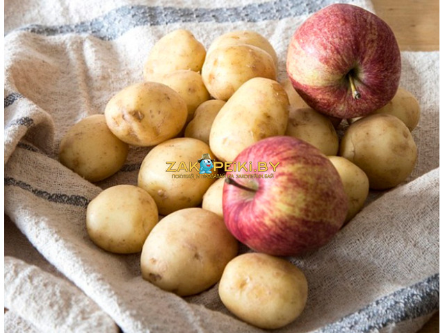 Переборка картофеля / яблок - 1