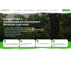 Разработка сайта / Создание сайта под ключ - 7
