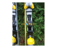 Горные лыжи