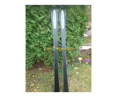 Горные лыжи