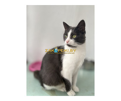 Очаровательная Ливи