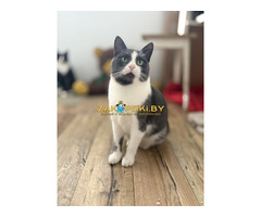 Очаровательная Ливи