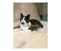 Очаровательная Ливи