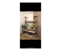 Когтеточка - (Комплекс)