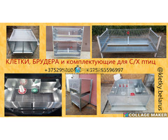 Брудера для цыплят