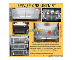 Брудера для цыплят