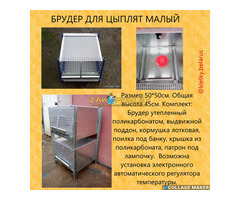 Брудера для цыплят