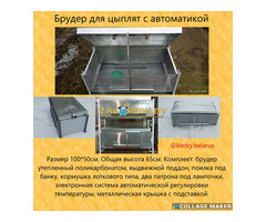 Брудера для цыплят