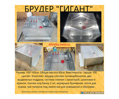 Брудера для цыплят