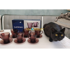 Чайный набор Luminarc / десертные тарелки Luminarc