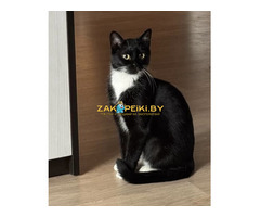 Нежная Амира