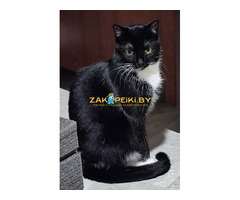 Нежная Амира