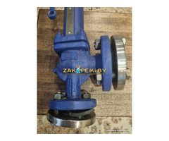 Предохранительный клапан Ari DN15/DN25, P=10.0bar, Germany.