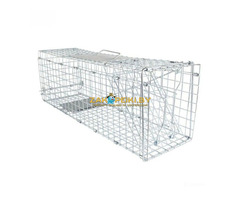 Котоловка, клетка-ловушка напрокат