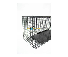 Собаколовка 130х50х60 см, клетка-ловушка напрокат