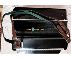 Баян Беларусь