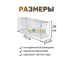 Аренда Котоловка клетка-ловушка складная