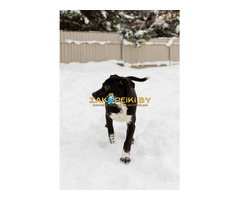 Крошечке очень нужен дом