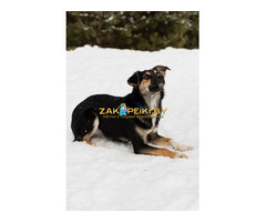 Умнейшая Козявочка ждет свою семью