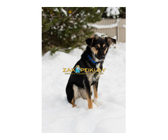 Умнейшая Козявочка ждет свою семью