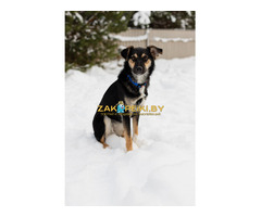 Умнейшая Козявочка ждет свою семью