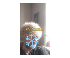 кавказ,азия,наряды мра  национальные - прокат и пошив