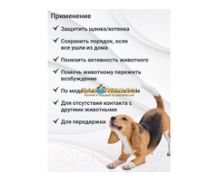 Клетка для передержки животных прокат в Минске