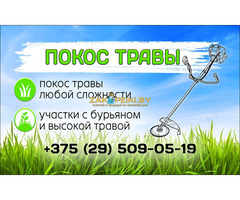 Покос травы